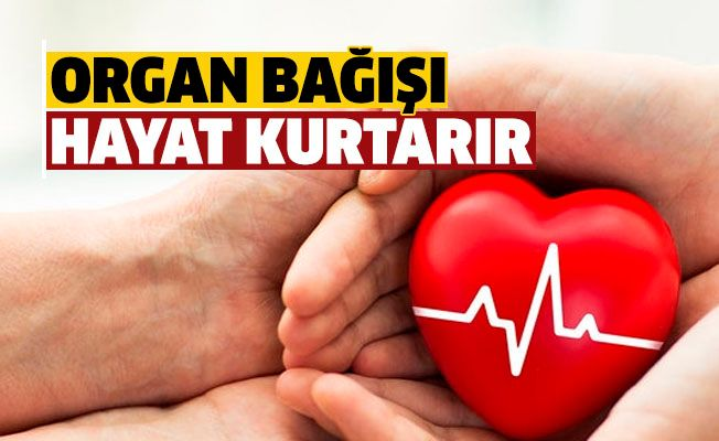 Organ bağışı