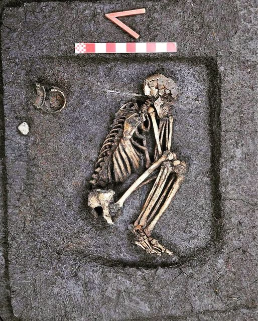 1661465663139.png