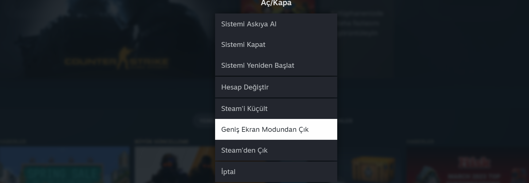 Steam Geniş Ekrandan Nasıl Çıkılır ? 2023