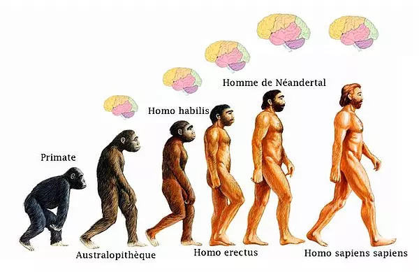 1706059899981.png