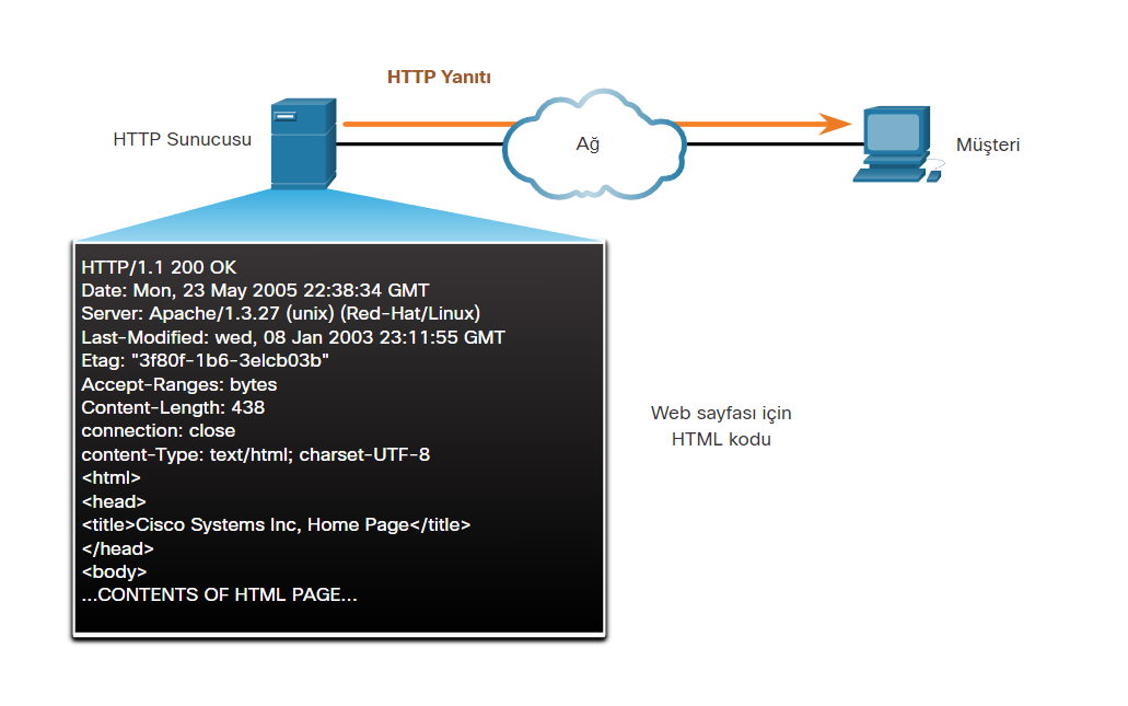 Web Siteleri Bize Nasıl Gösterilir? HTTP/HTTPS Nasıl Çalışır?