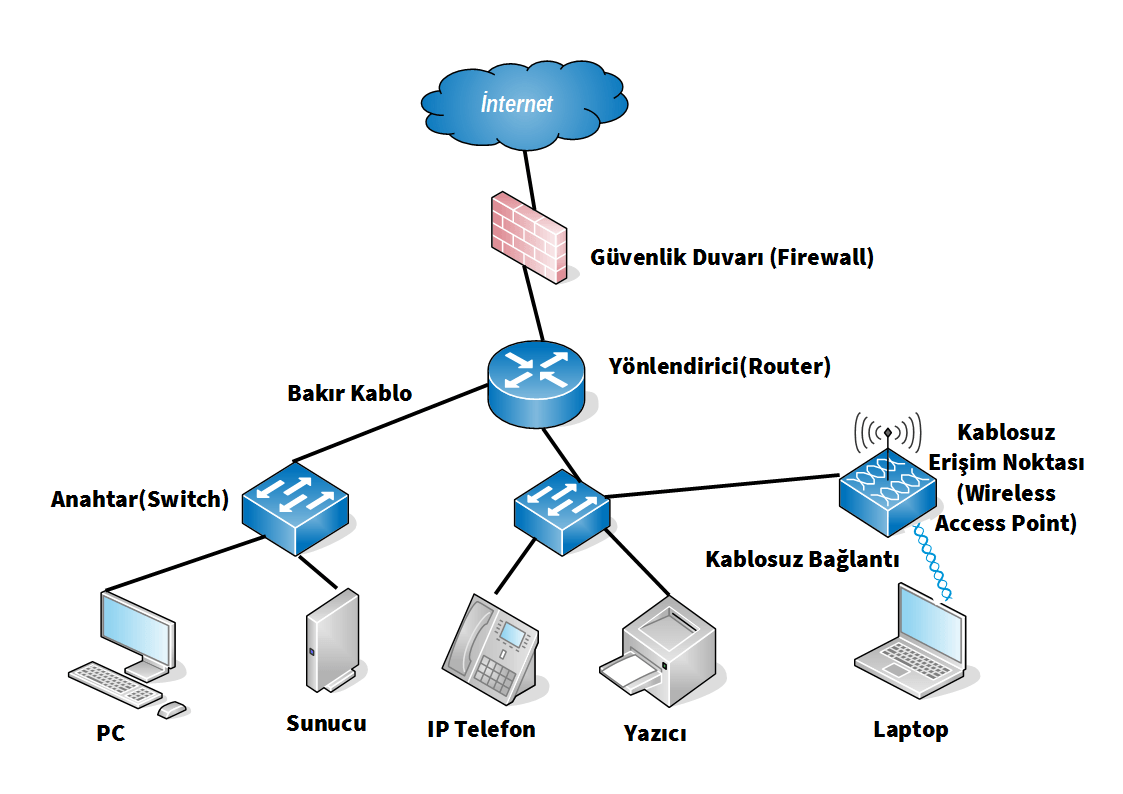 Network Örneği