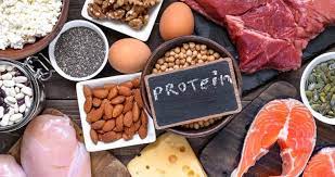 Protein Kaynakları