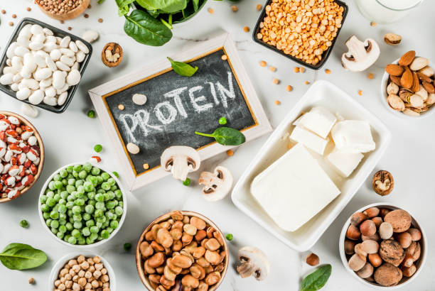Protein